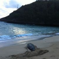 Deborah Chamberlain Photo 30