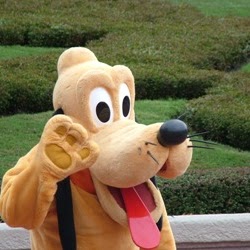 Crystal Levy Photo 22