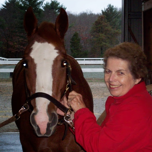 Jane Sheehan Photo 20