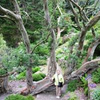 Ellen Wilkinson Photo 11 Ellen Wilkinson Photo 11