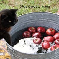 Linda Townsend Photo 13