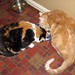 Patsy Summers Photo 26