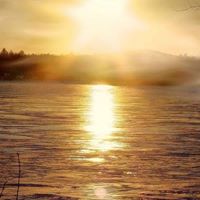 Rick Sheppard Photo 22