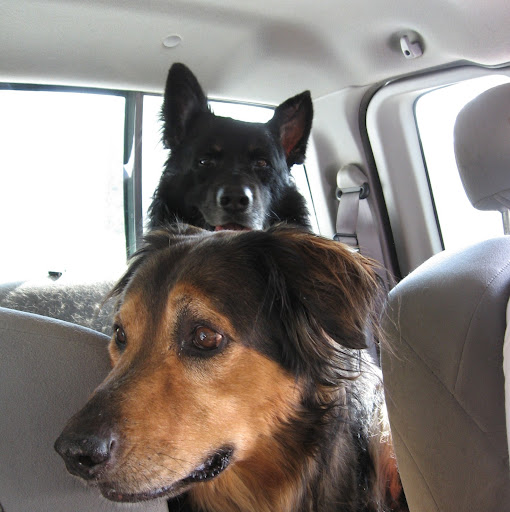 Debra Stephens Photo 18