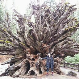 Kathleen Williamson Photo 17