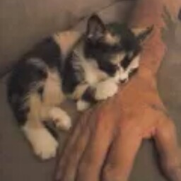 Nancy Lindley Photo 3