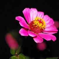 Jill Chaney Photo 14