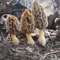 Juanita Duncan Photo 15