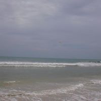 Elizabeth Redden Photo 22