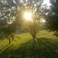 Suzanne Johns Photo 24