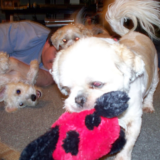 James Timmons Photo 36 James Timmons Photo 36