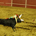 Manuel Cordero Photo 34