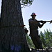 Robert Freeman Photo 26