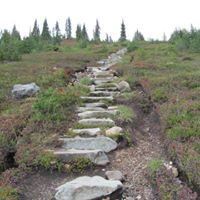 Kathy Ferro Photo 22