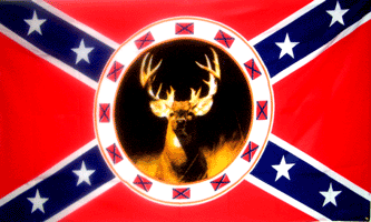 Steven Hopper Photo 15