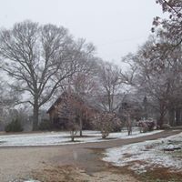 Diane Humphries Photo 13