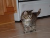 Cindy Long Photo 4