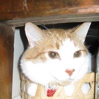 Frances Barnhardt Photo 1