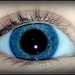Patricia Lash Photo 17