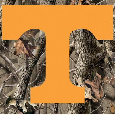 Stephen Hays Photo 31