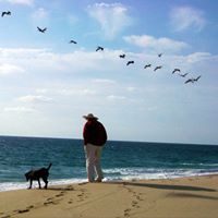 Robert Bentley Photo 22