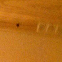 Janice Newton Photo 15