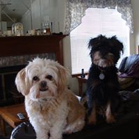 Julia Gaines Photo 15