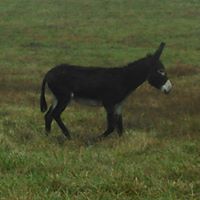 Kenny Alexander Photo 32