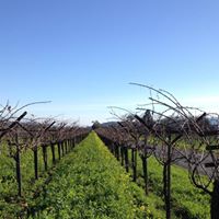 Alison Webster Photo 6