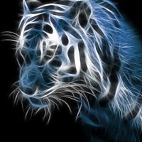 John Wooldridge Photo 12