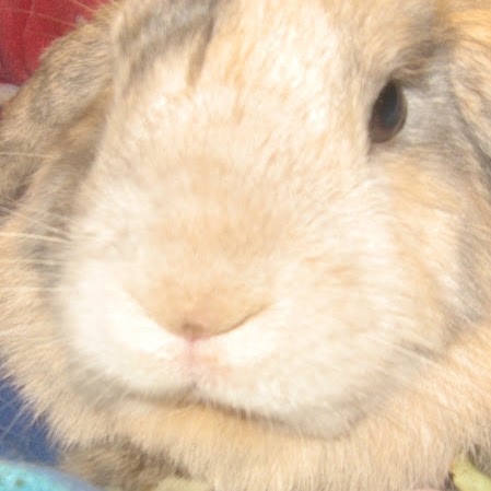 Joyce Scott Photo 17