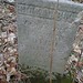 Elizabeth Wheeler Photo 32