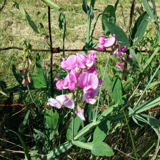 Lisa Hardy Photo 43