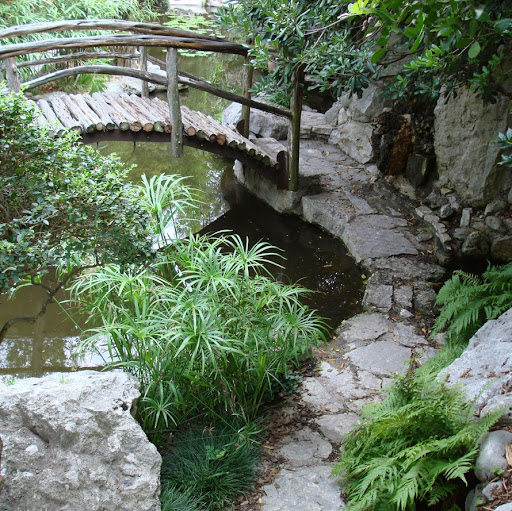 Ginger Taylor Photo 23