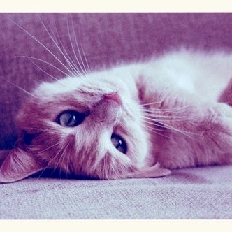 Cristina Cardona Photo 29