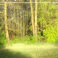 Larry Whiting Photo 23