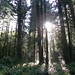 Jennifer Washburne Photo 6