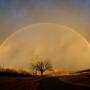 Robert Hillman Photo 43