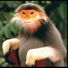 Pengfei Zhang Photo 17