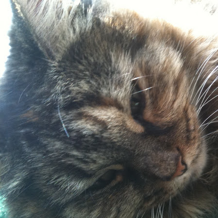 Stacy Mills Photo 28