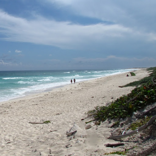 Sarah Mayfield Photo 14