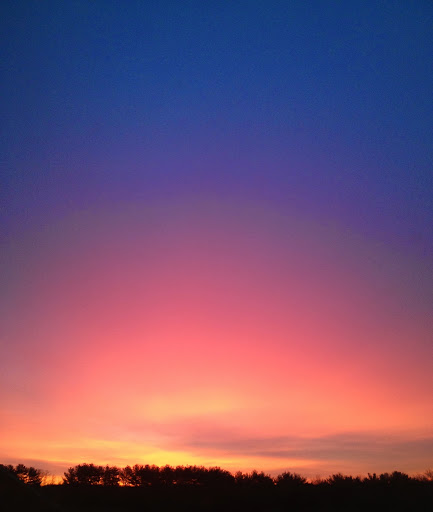 Angela Carbo Photo 1