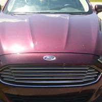 Dana Muller Photo 15