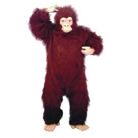 Ralph Reed Photo 43 Ralph Reed Photo 43