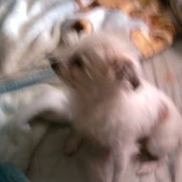 Tina Mauldin Photo 17