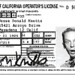 Don Driver Photo 24