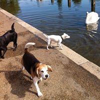 Victoria Bean Photo 19