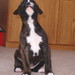 Melissa Brindle Photo 8
