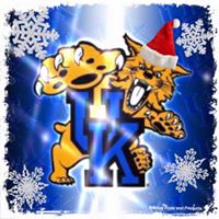 Ann Kraemer Photo 22