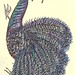 Sandra Peacock Photo 30